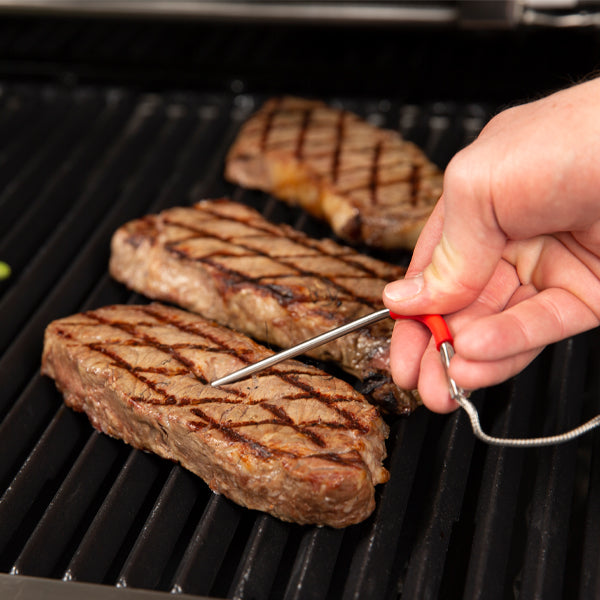 Bluetooth Thermometer