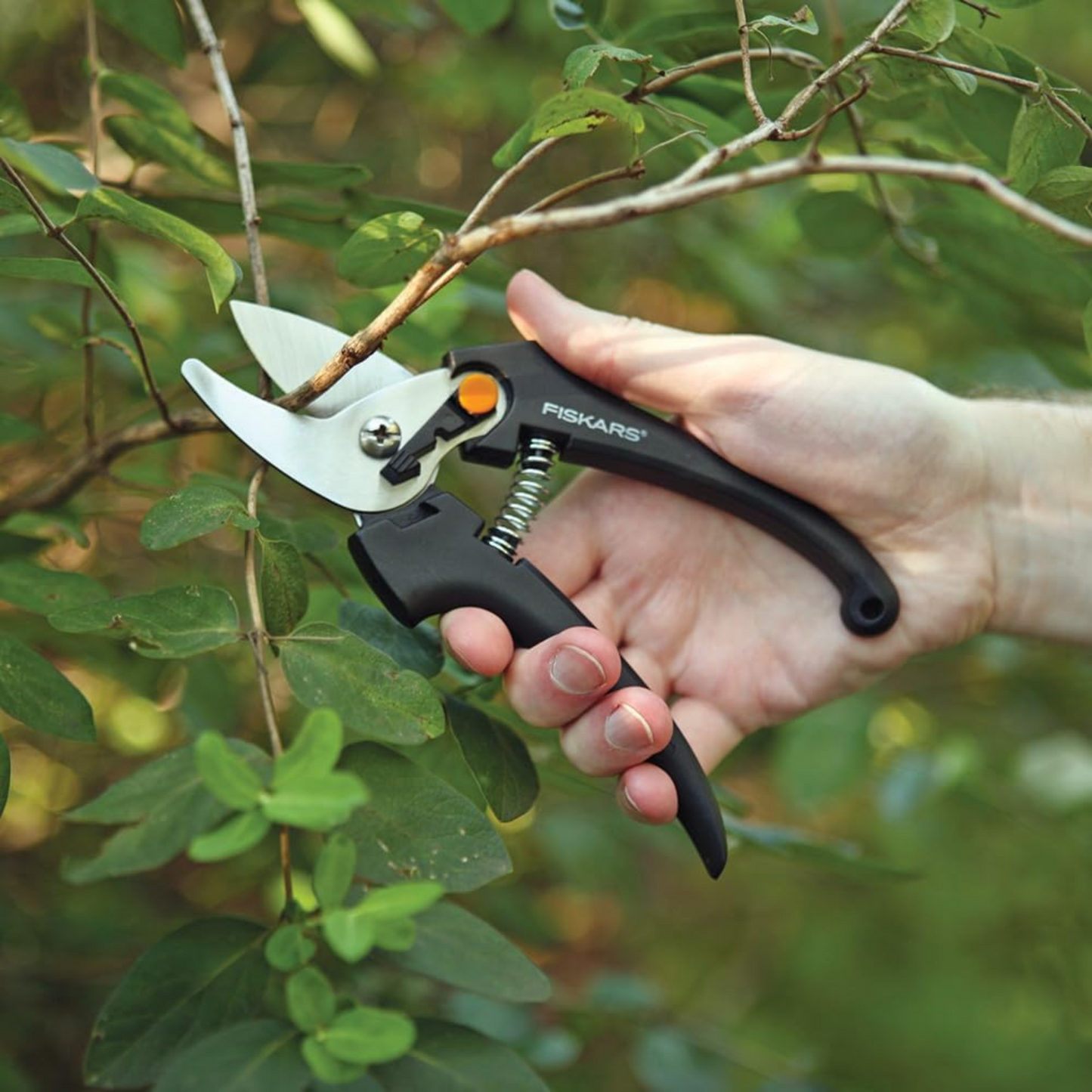 Stainless Steel Bypass Pruner