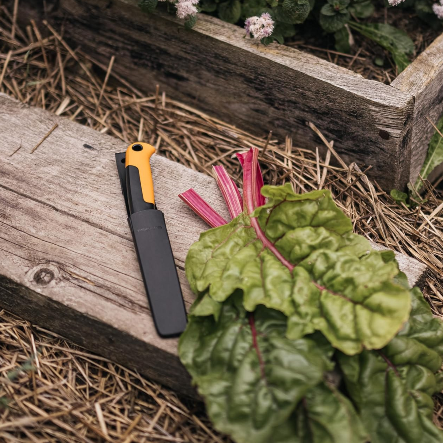 Harvesting Knife