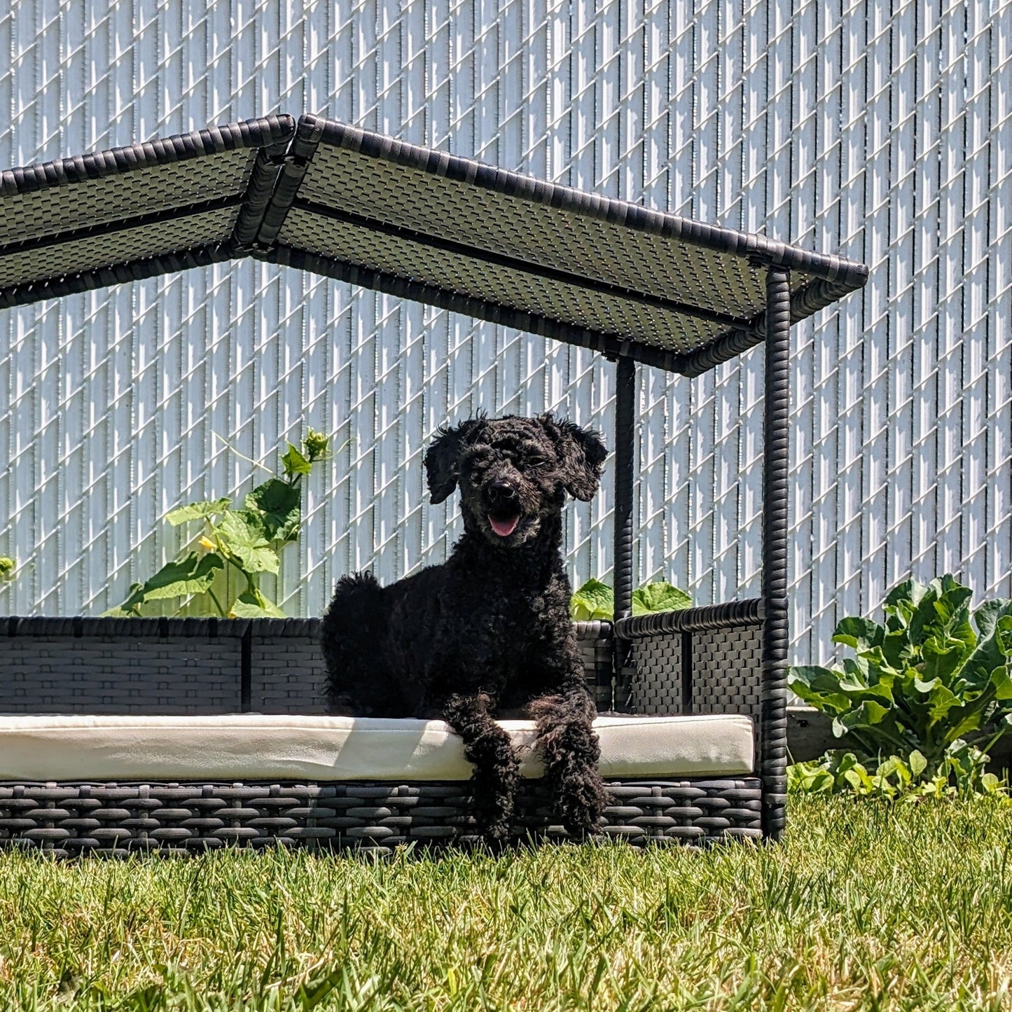 Outdoor Pet Bed with Canopy