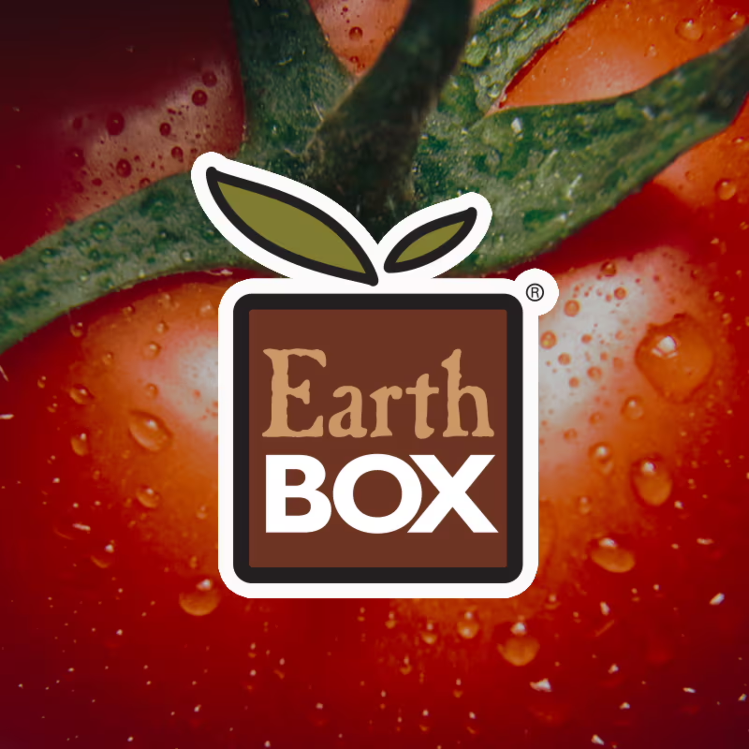 Earth Box
