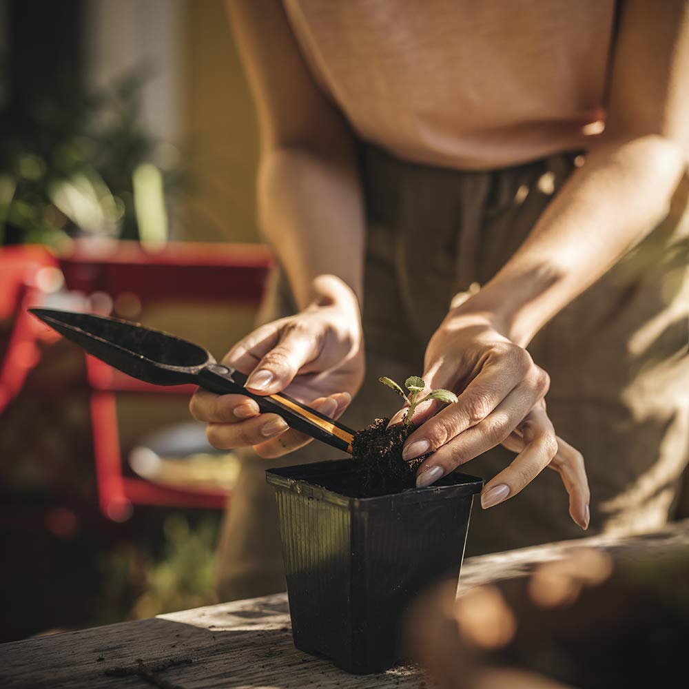 Gardening Tools