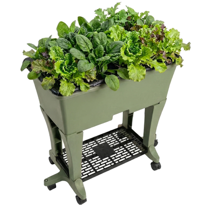 EarthBox Elevated Garden