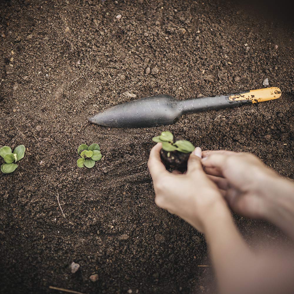Hand Seed Sower