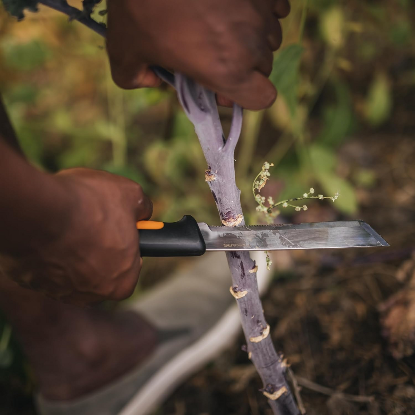 Harvesting Knife
