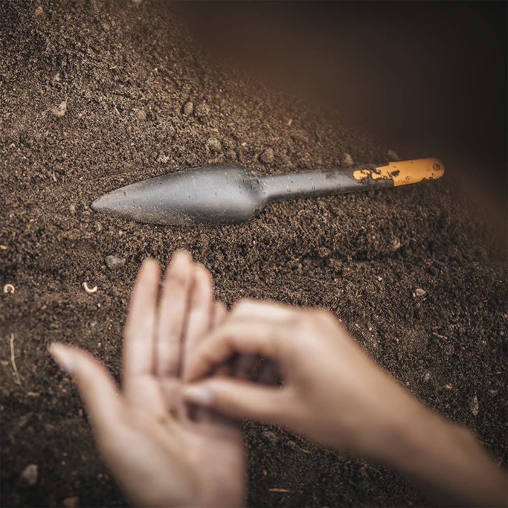 Hand Seed Sower