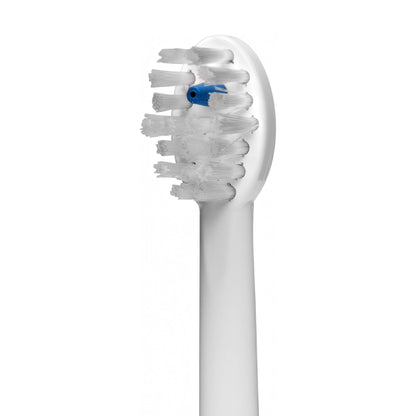 Sonic-Fusion™ Replacement Brush Head - Pack of 2