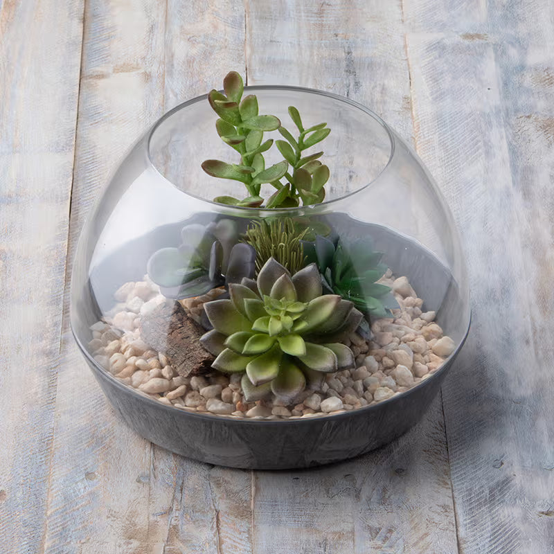 Stone Art Napa Terrarium