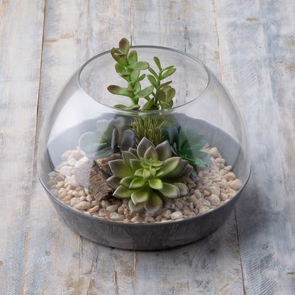 Stone Art Napa Terrarium