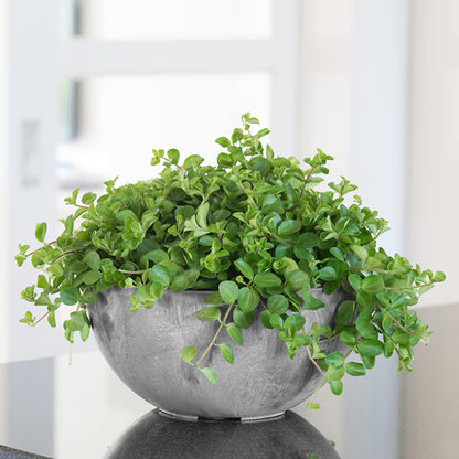 Stone Art Napa 12" Bowl