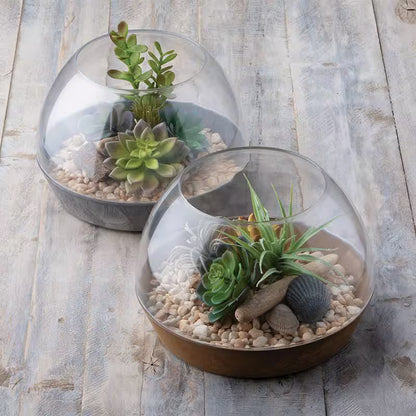 Stone Art Napa Terrarium