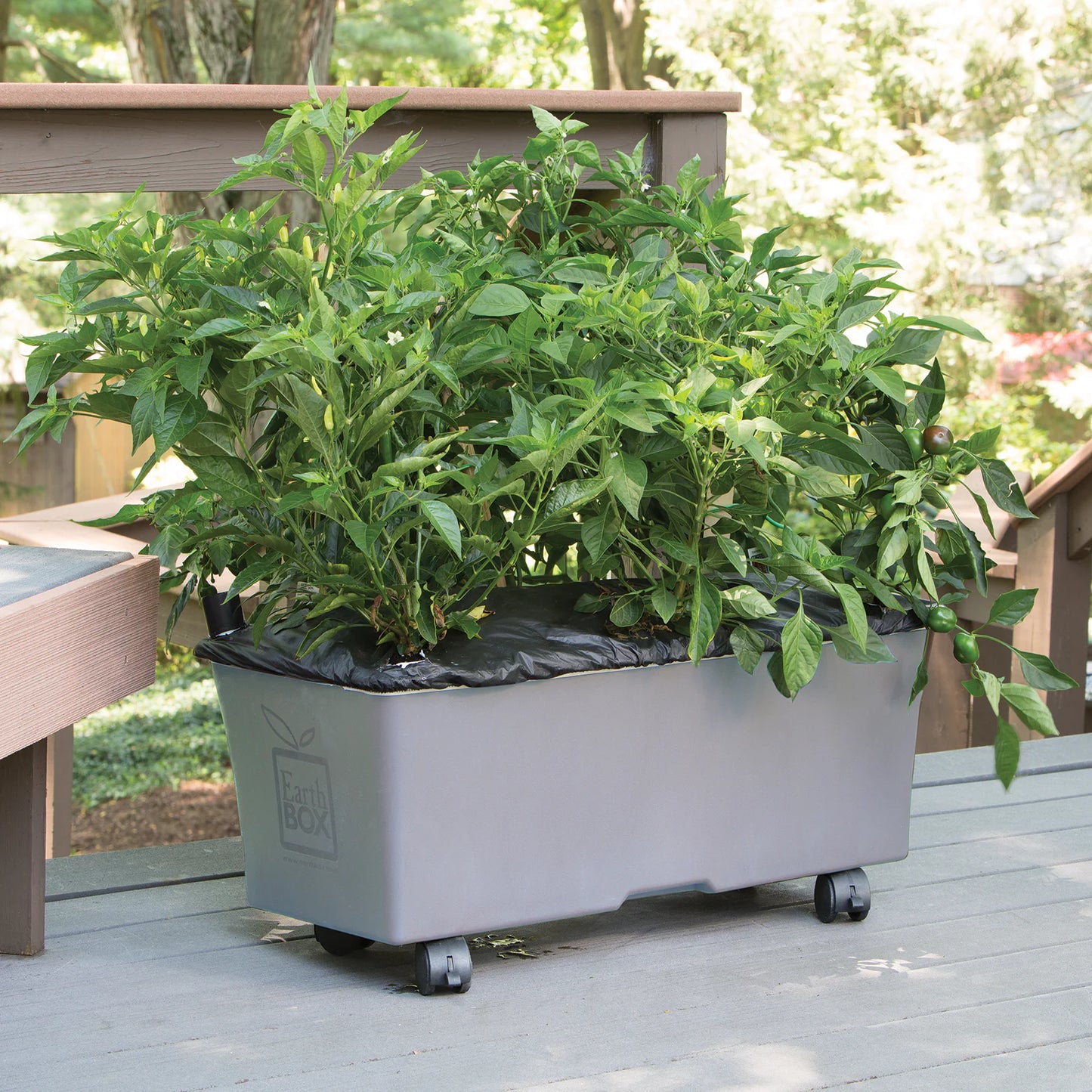 EarthBox Original Garden Kit